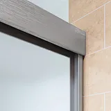 shower door