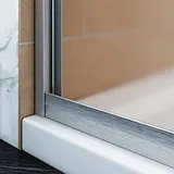 shower door